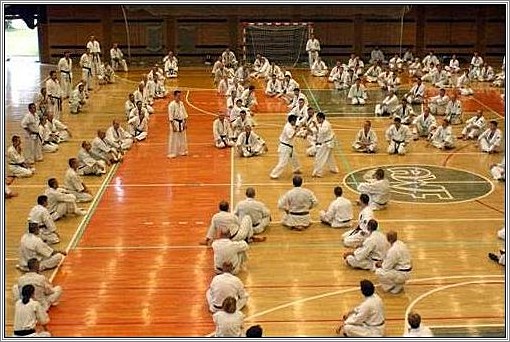 <b>European Karate Summer Camp 2003<br />Cracow, Poland</b><br />languages: Polish, English, Japanese
