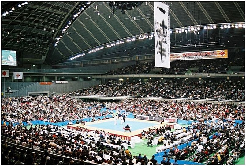 <b>World Open Karate Tournament 2003<br />LIVE report in the internet<br />Tokyo, Japan</b><br />languages: Japanese, Polish, English