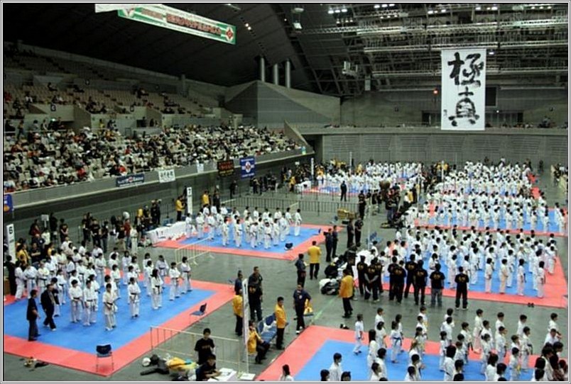 <b>International Youth Karate<br />Championships 2006<br />Chiba, Japan</b><br />languages: Japanese, Russian, English