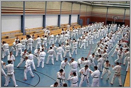 <b>European Karate Summer Camp 2006<br />Cracow, Poland</b><br />languages: Polish, English, Japanese