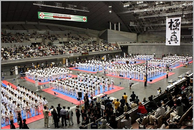 <b>International Youth Karate<br />Championships 2007<br />Chiba, Japan</b><br />languages: Japanese, Russian, English