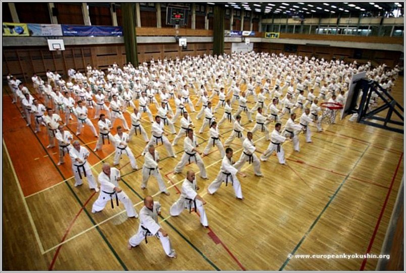 <b>European Karate Summer Camp 2008<br />Cracow, Poland</b><br />languages: Polish, English, Russia, Japanese
